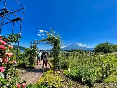 レイクベイク