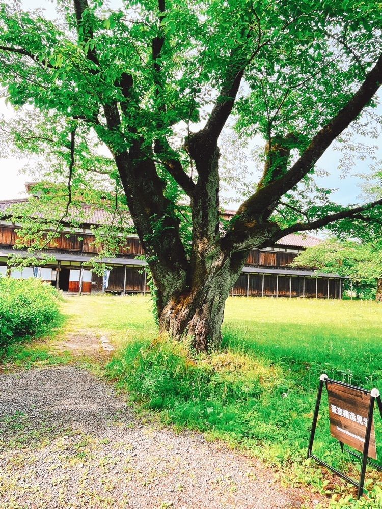 猫なぎ。さんが投稿した松ヶ岡開墾記念館に関する口コミの画像