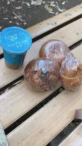 テコナ　ベーグルワークス（tecona bagel works）