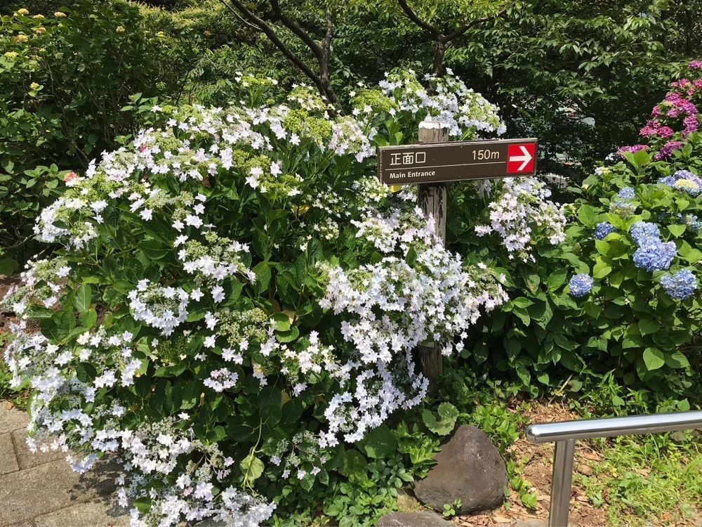ウツボさやかさんが投稿した下田公園に関する口コミの画像