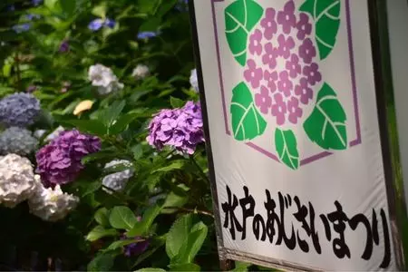 保和苑