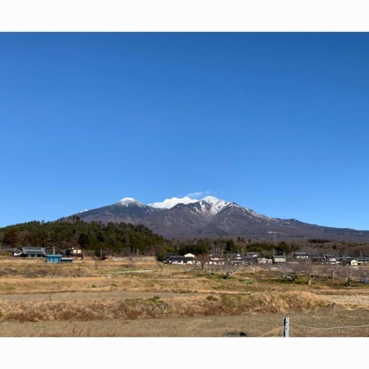 Howl Monさんが投稿した八ヶ岳パーキングエリア（上り） ショッピングコーナーに関する口コミの画像