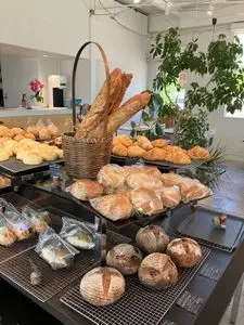 公園とパン