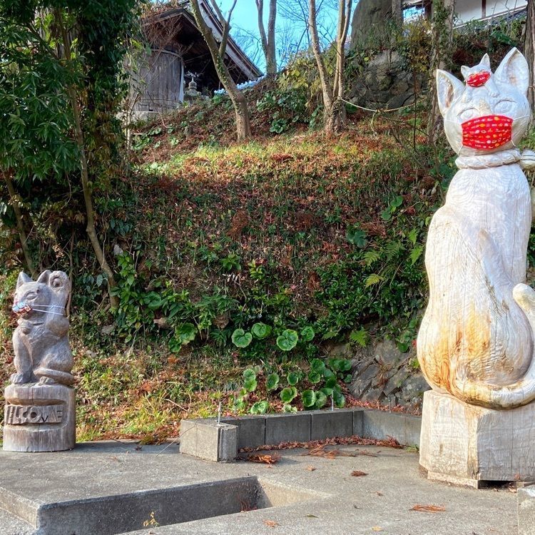 fumie0203さんが投稿した雲林寺（猫寺）に関する口コミの画像