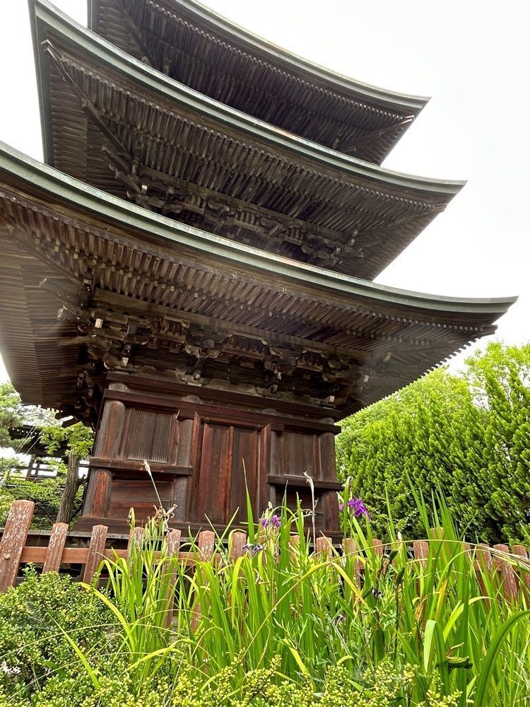 jun1216さんが投稿した信濃国分寺の蓮に関する口コミの画像