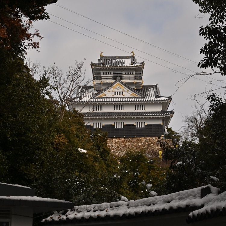 佳さんが投稿したコメダ珈琲店 岐阜公園店に関する口コミの画像