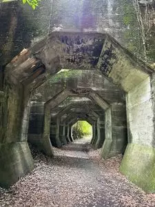 熊延鉄道　八角トンネル