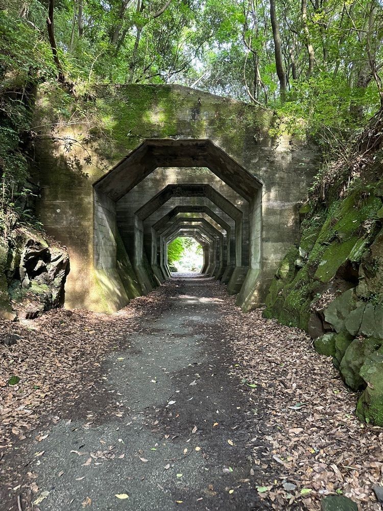 nico☺︎さんが投稿した熊延鉄道　八角トンネルに関する口コミの画像