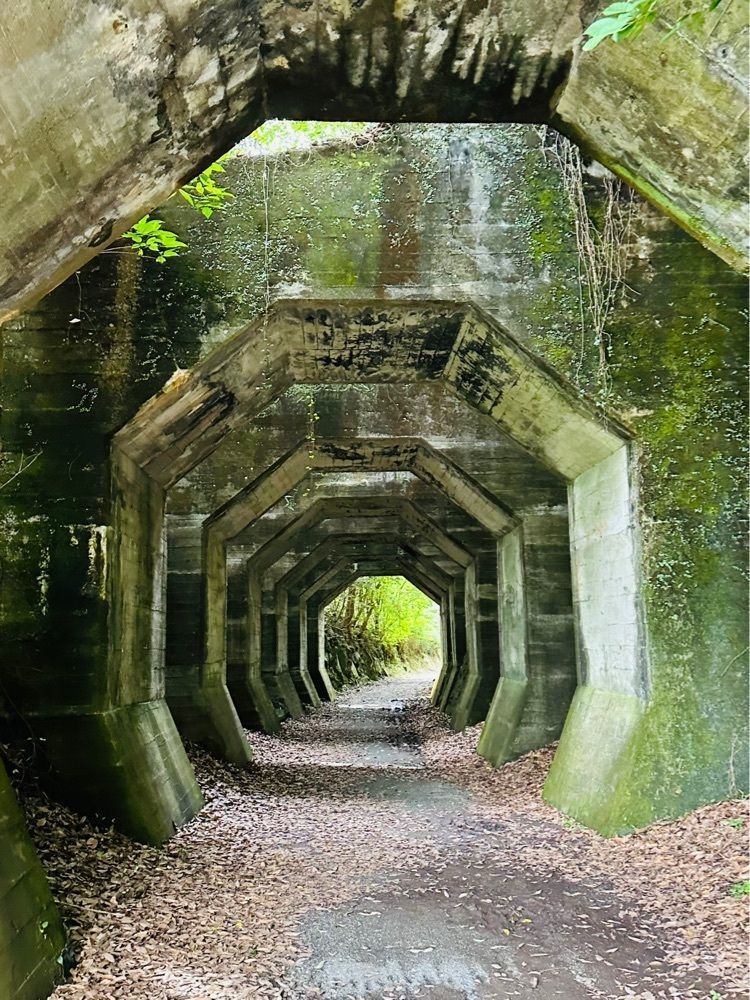 nico☺︎さんが投稿した熊延鉄道　八角トンネルに関する口コミの画像