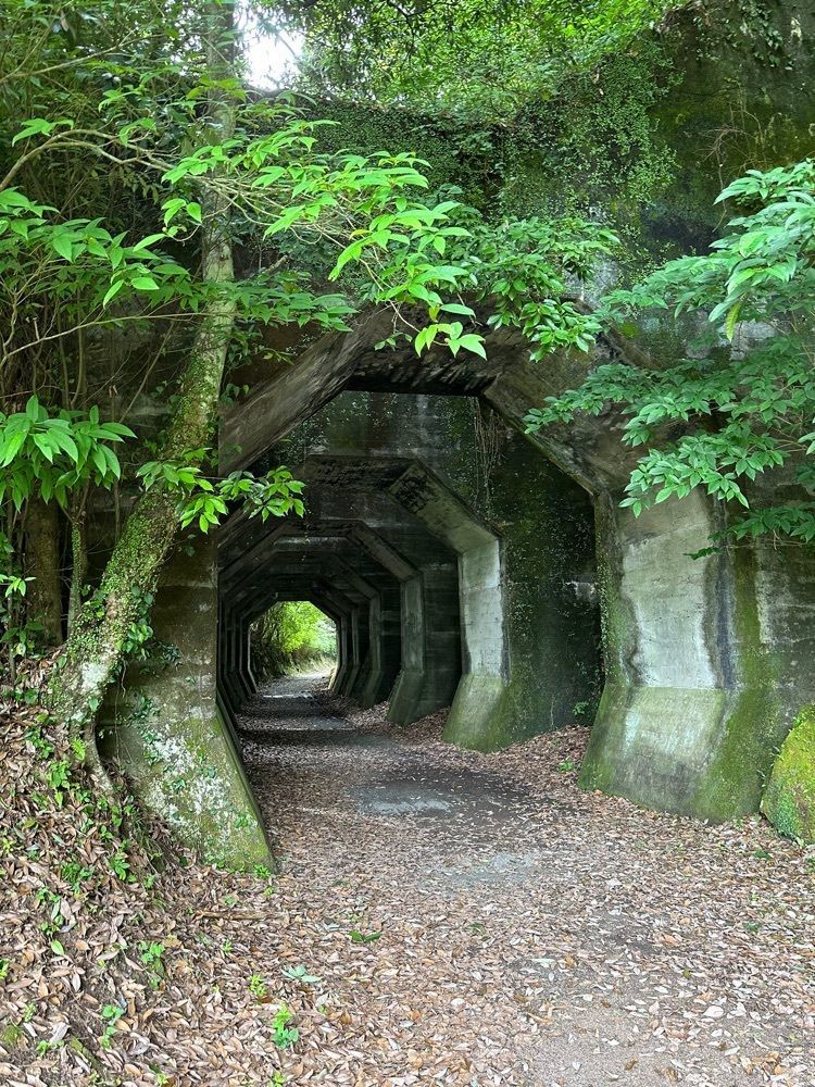 nico☺︎さんが投稿した熊延鉄道　八角トンネルに関する口コミの画像