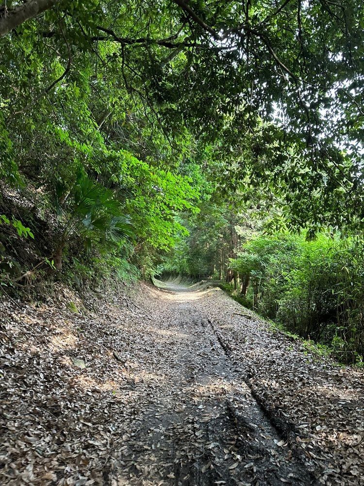nico☺︎さんが投稿した熊延鉄道　八角トンネルに関する口コミの画像