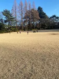 新宿御苑 中央休憩所