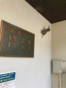 箕面公園昆虫館