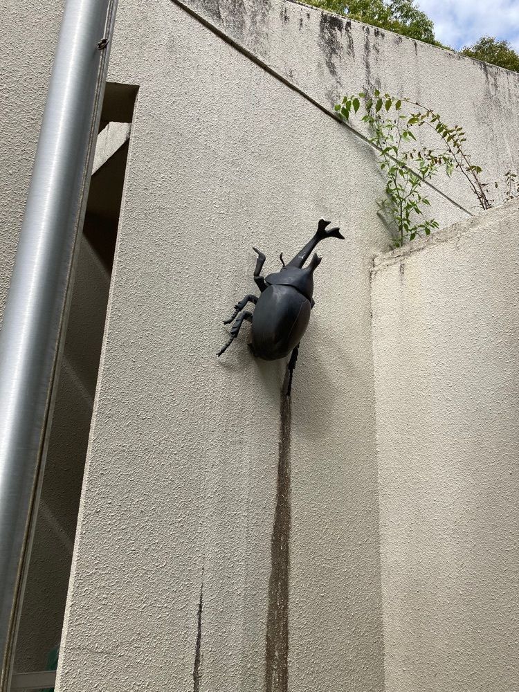 t_sugiuraさんが投稿した箕面公園昆虫館に関する口コミの画像