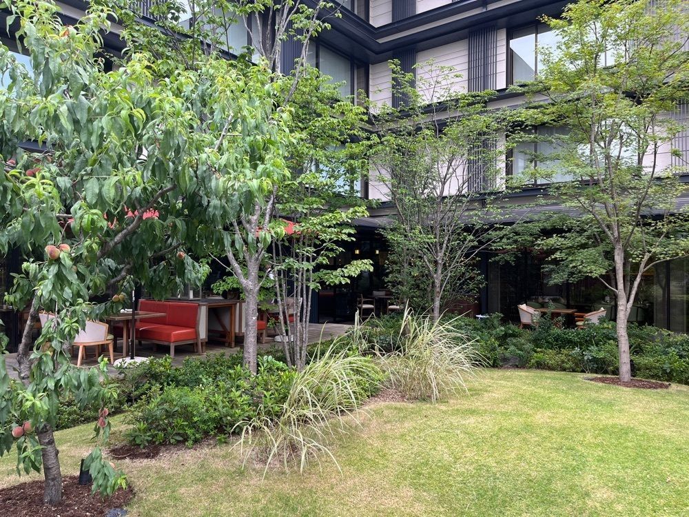yumoさんが投稿したＨＯＴＥＬ　ＴＨＥ　ＭＩＴＳＵＩ　ＫＹＯＴＯに関する口コミの画像