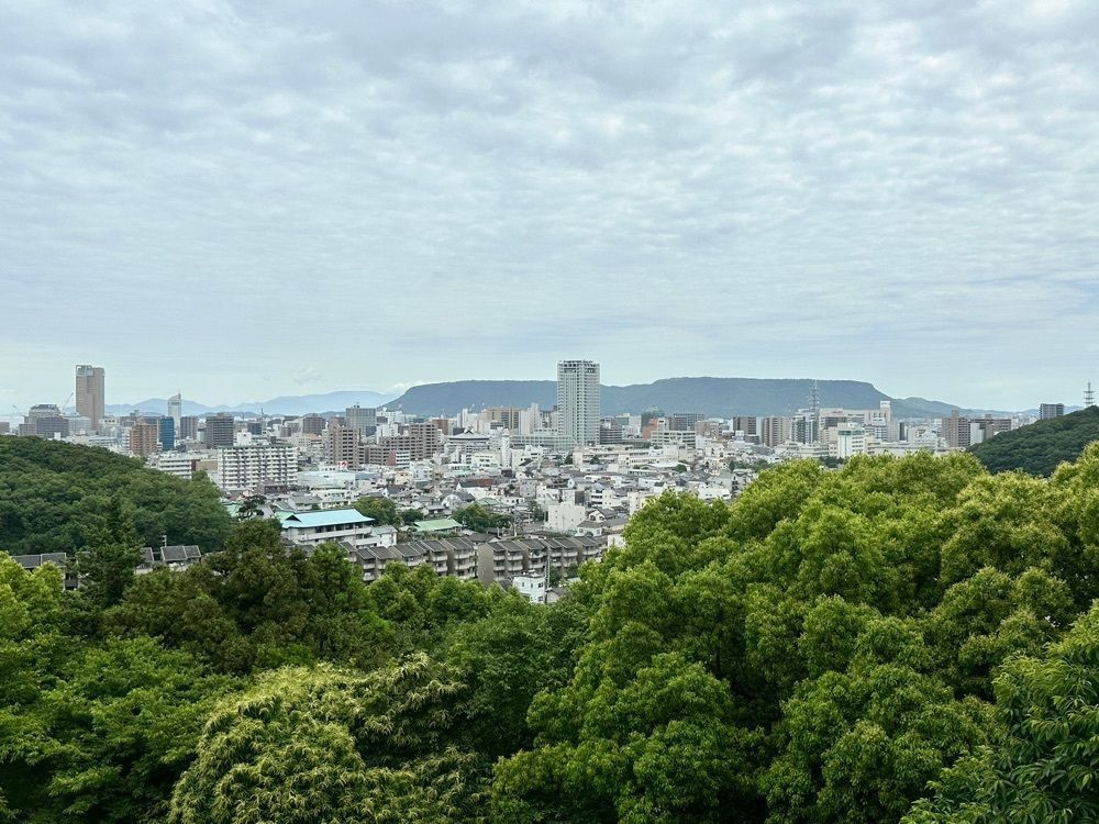 かずくんさんが投稿した讃州めんめ（サンシュウメンメ）に関する口コミの画像