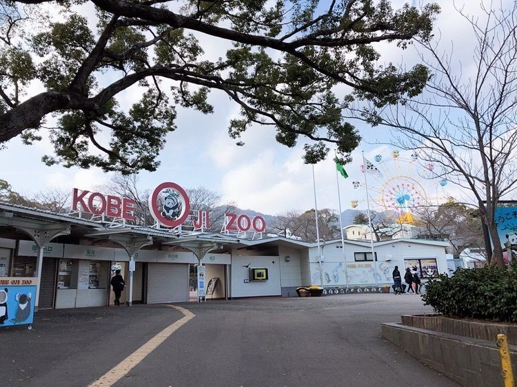 #王子動物園 #こうべ #おでかけ