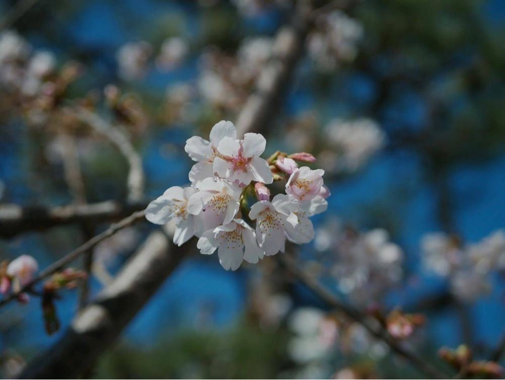 おでかけ探検部さんが投稿した無心庵（むしんあん）に関する口コミの画像