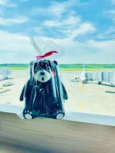 阿蘇・くまもと空港　