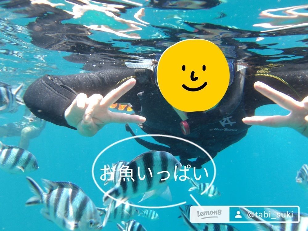 DREAMさんが投稿したマリンレジャーハイサイドに関する口コミの画像