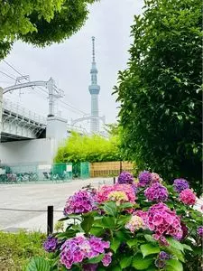 タリーズコーヒー 隅田公園店