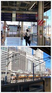 きしめん 住よし JR名古屋駅 新幹線上り2号店 2枚目