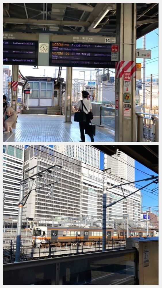 delicious_museum_7212さんが投稿したきしめん 住よし JR名古屋駅 新幹線上り2号店に関する口コミの画像
