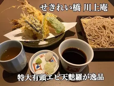 せきれい橋 川上庵