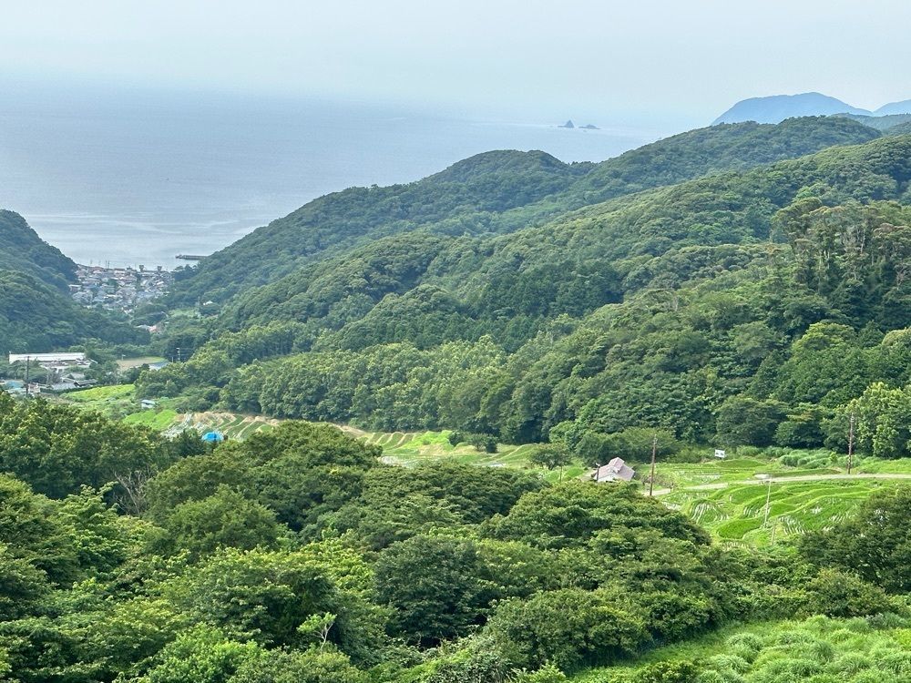 yoko☆さんが投稿した石部の棚田 展望台に関する口コミの画像