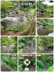 軽井沢星野エリア