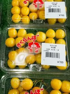 道の駅 尾花沢 花笠の里 ねまる