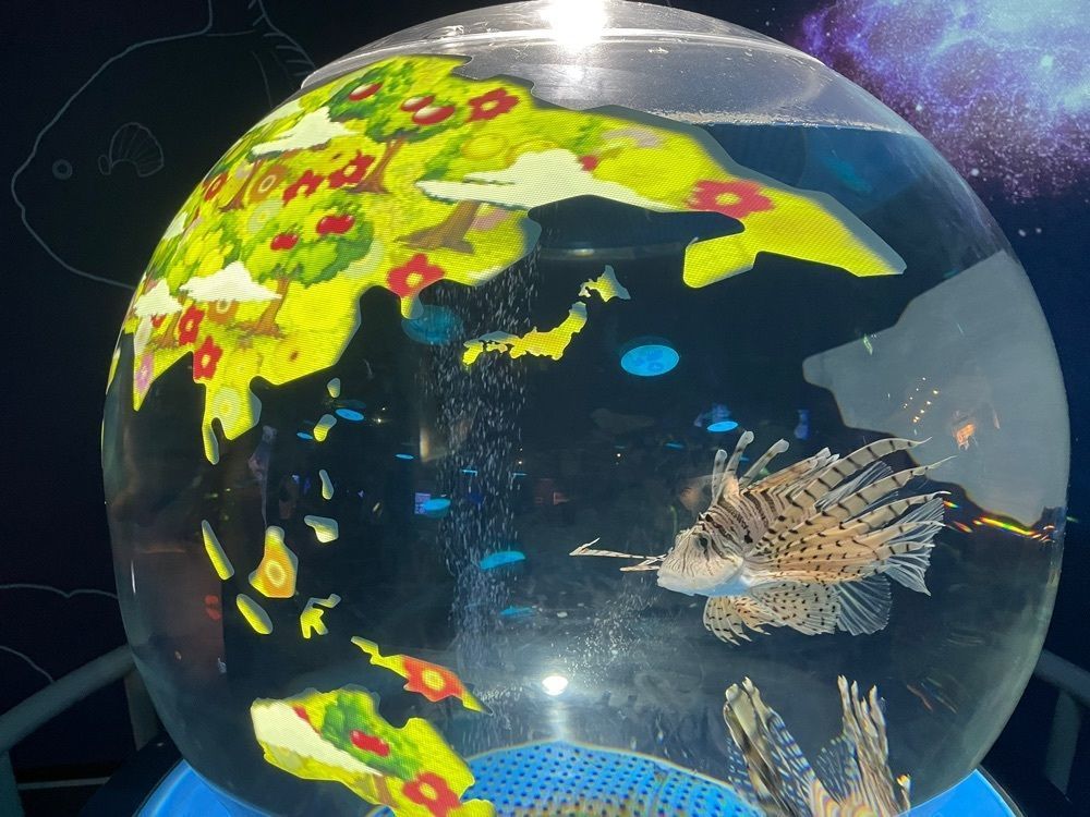 瑞稀さんが投稿したしながわ水族館に関する口コミの画像
