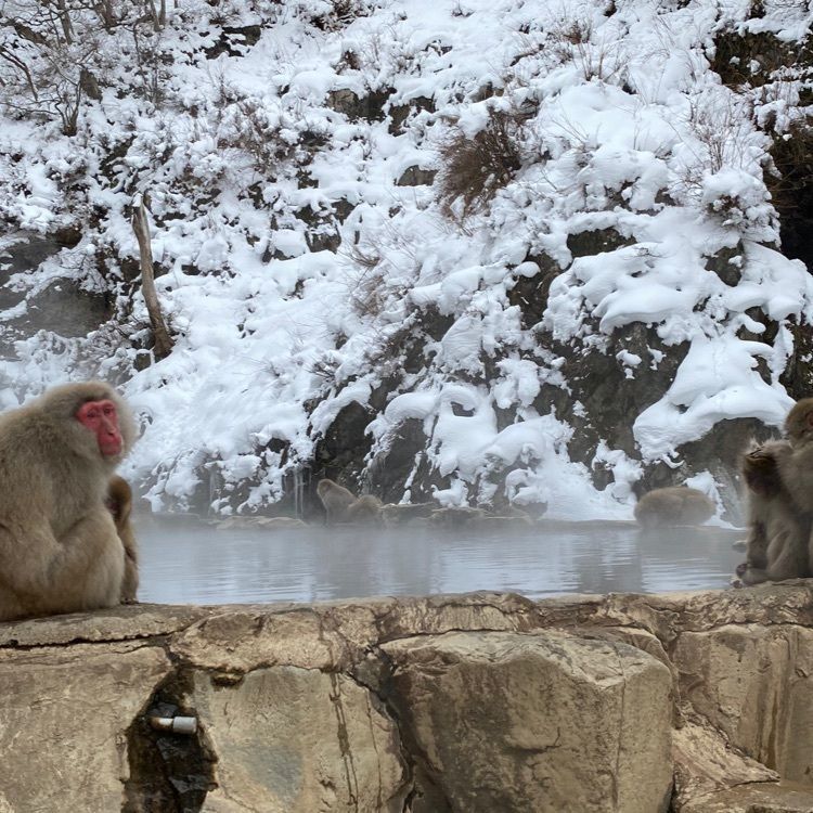 カレンさんが投稿した湯田中温泉に関する口コミの画像