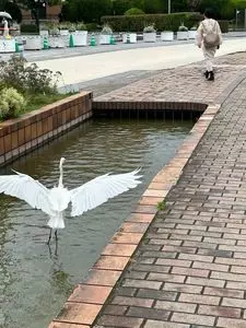 ロイヤル ガーデン カフェ 大濠公園（Royal Garden Cafe）