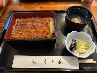 うな藤（うなふじ）