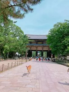 東大寺南大門