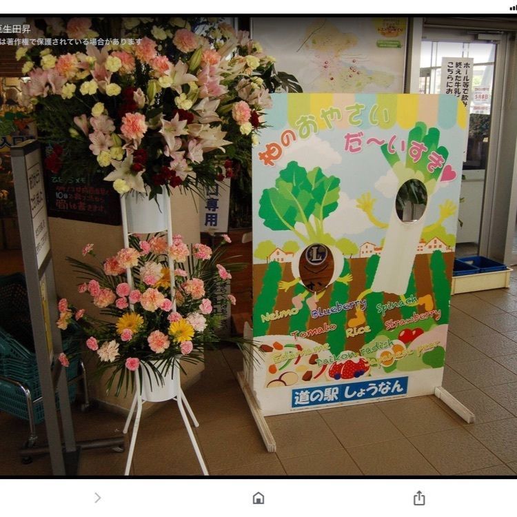ＤＪゴン太さんが投稿した道の駅　しょうなん 農産物直売所に関する口コミの画像