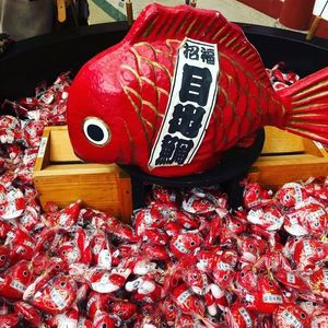 防府天満宮／うめ 2枚目