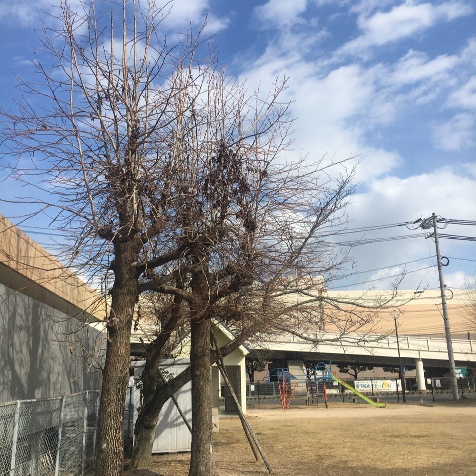 emotional_gift_c434さんが投稿した広電阿品駅に関する口コミの画像