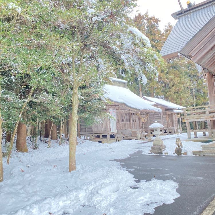 かめ_メグミさんが投稿した大崎八幡神社に関する口コミの画像