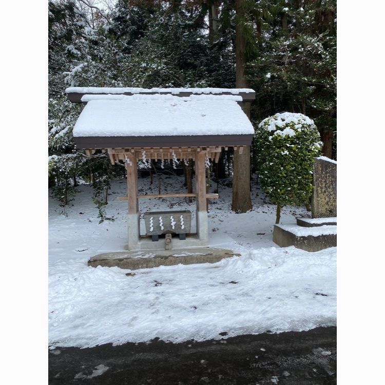 かめ_メグミさんが投稿した大崎八幡神社に関する口コミの画像