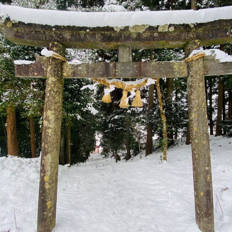 かめ_メグミさんが投稿した大崎八幡神社に関する口コミの画像