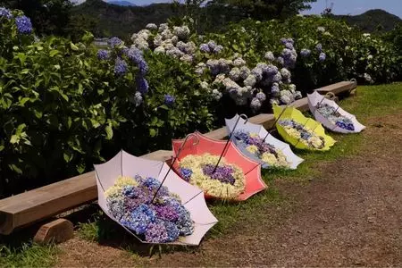 大沢直売所