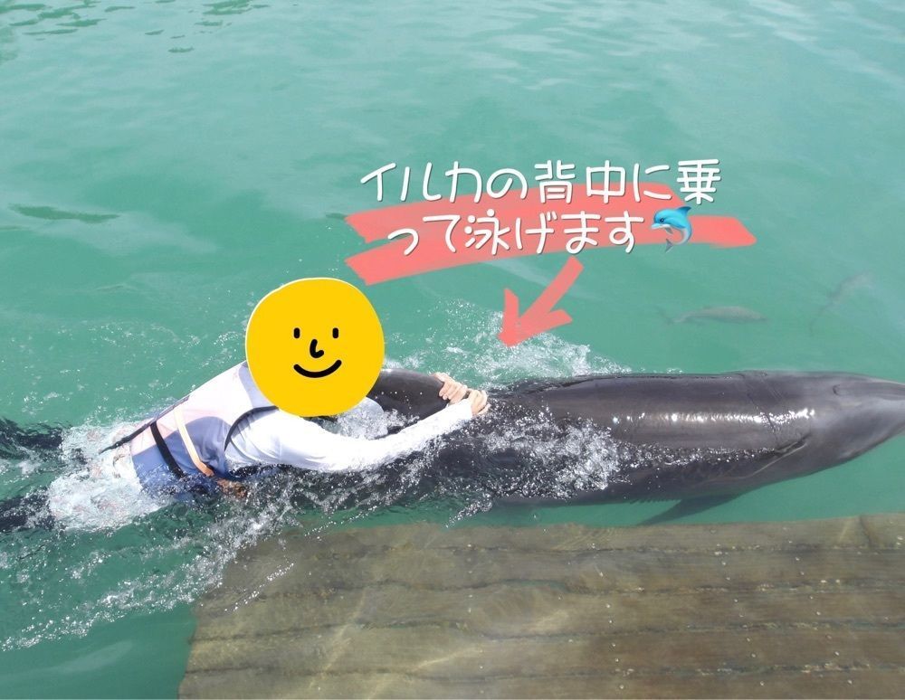 DREAMさんが投稿したもとぶ元気村に関する口コミの画像