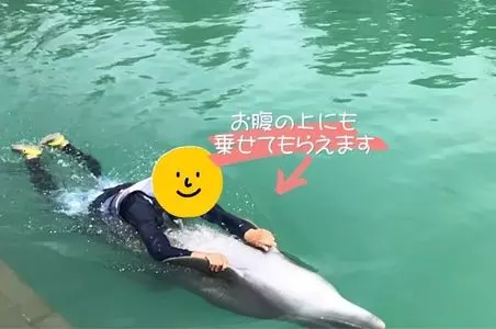 もとぶ元気村 3枚目