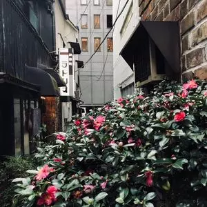 ラドリオ（LADRIO）