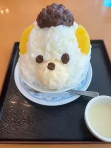 エアポート 山形屋食堂（【旧店名】エアポート山形屋 ファミリーレストラン）
