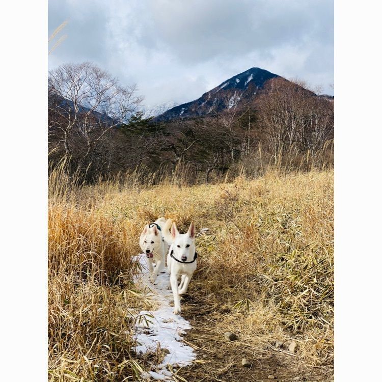 wonderful_street_830dの画像