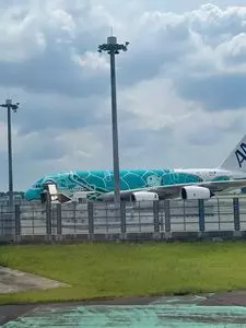 成田空港（第1旅客ターミナル）駅 3枚目