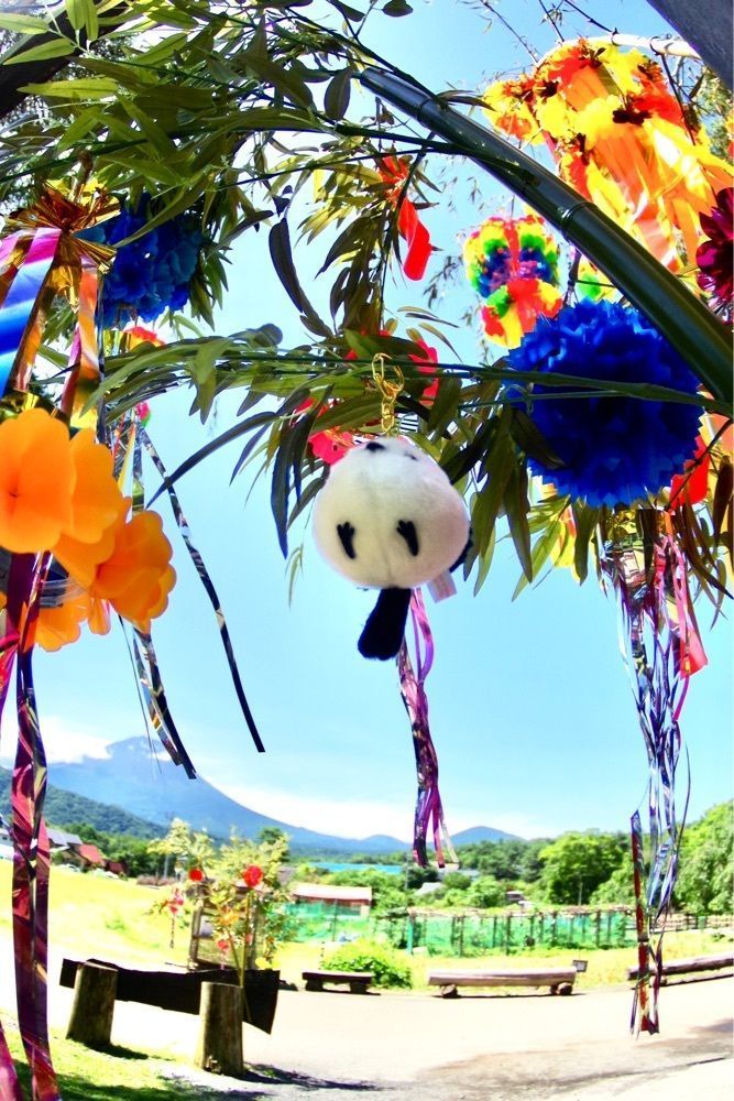 ビンカさんが投稿したちりめん細工・つるしかざりに関する口コミの画像